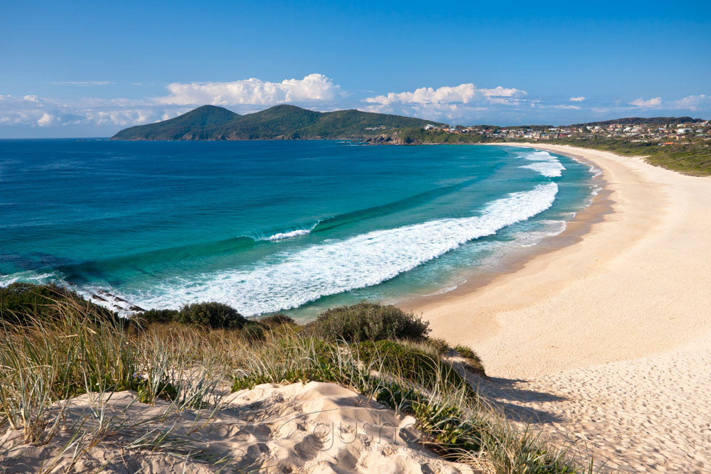 Photo of One Mile Beach FO2617 - Gusha