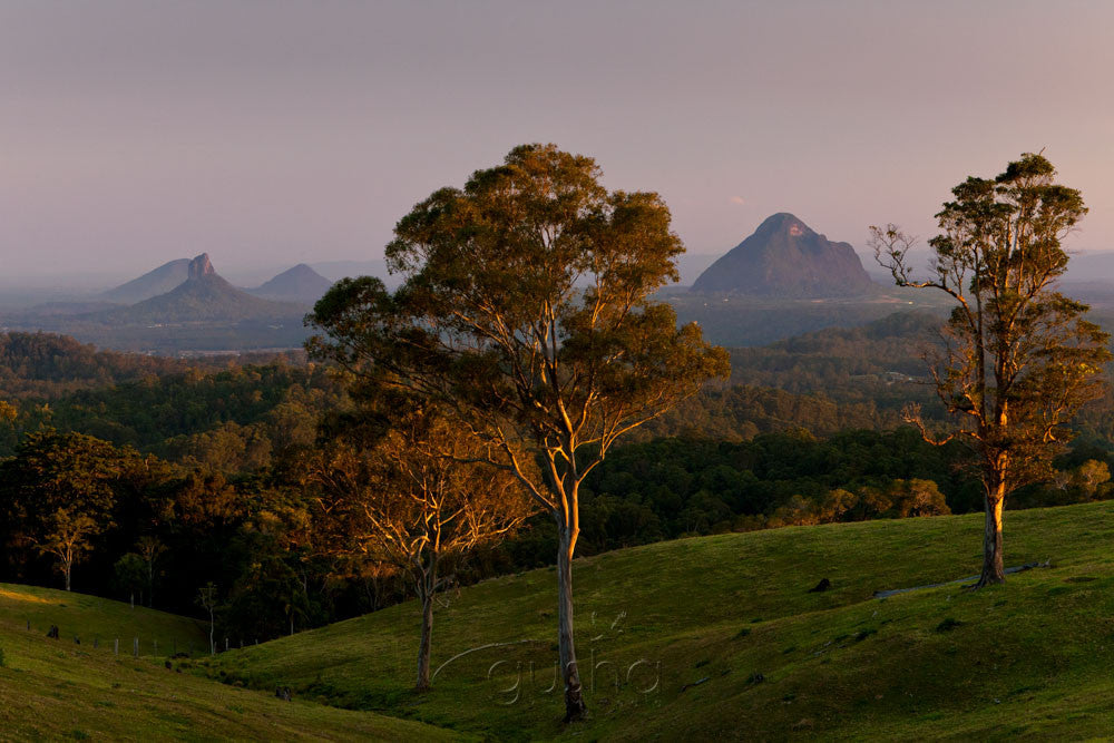 Photo of Glass House Mountains GHM1856 - Gusha