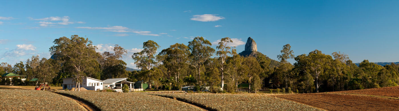 Photo of Glass House Mountains GHM1857 - Gusha