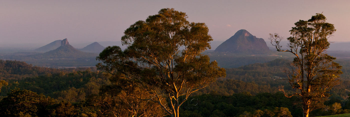 Photo of Glass House Mountains GHM2650 - Gusha