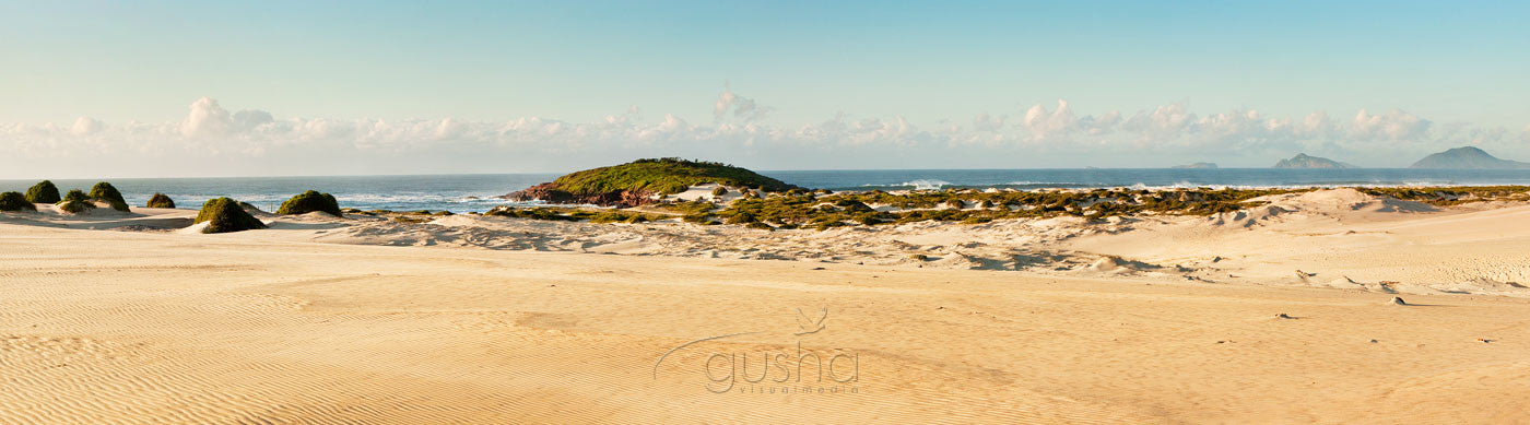 Photo of Dark Point HN0834 - Gusha