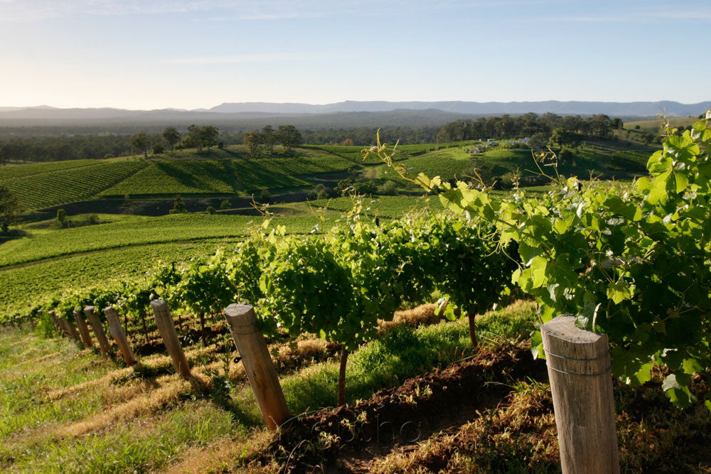 Photo of Hunter Valley HV2755 - Gusha