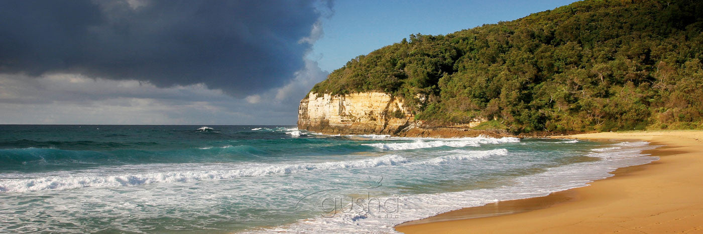 Photo of Steamers Beach JB0603 - Gusha