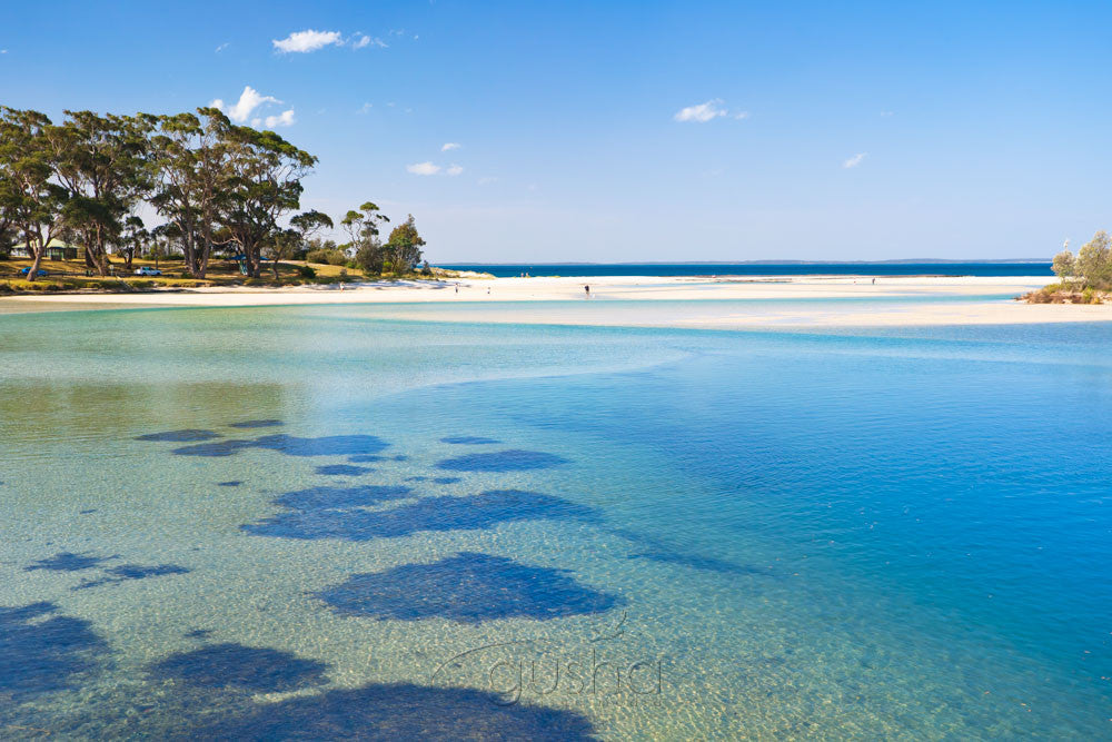 Photo of Moona Moona Creek JB2816 - Gusha