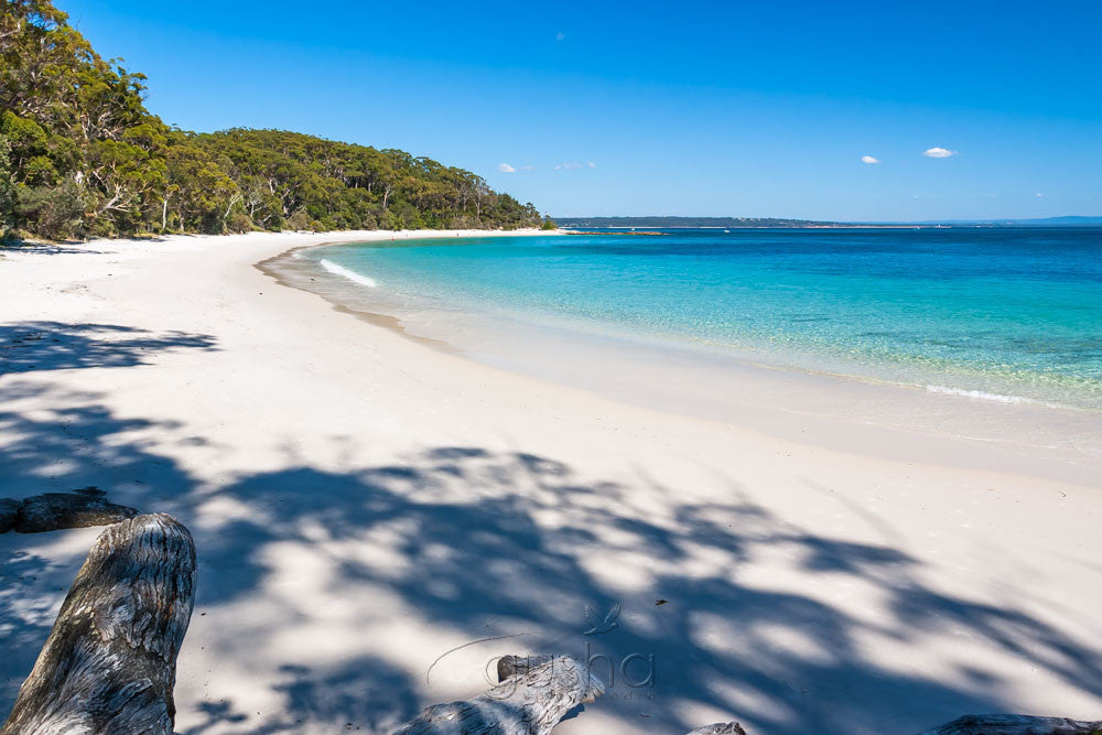 Photo of Murrays Beach JB3046 - Gusha