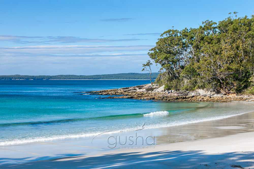 Blenheim Beach photo