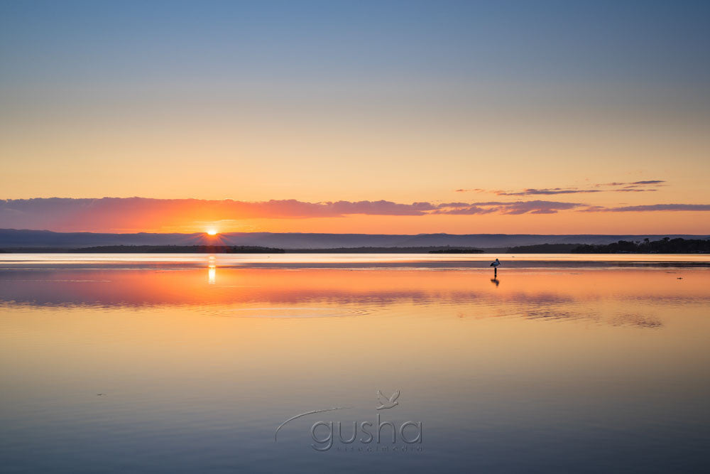 Photos of Sanctuary Point JB3298 - Gusha