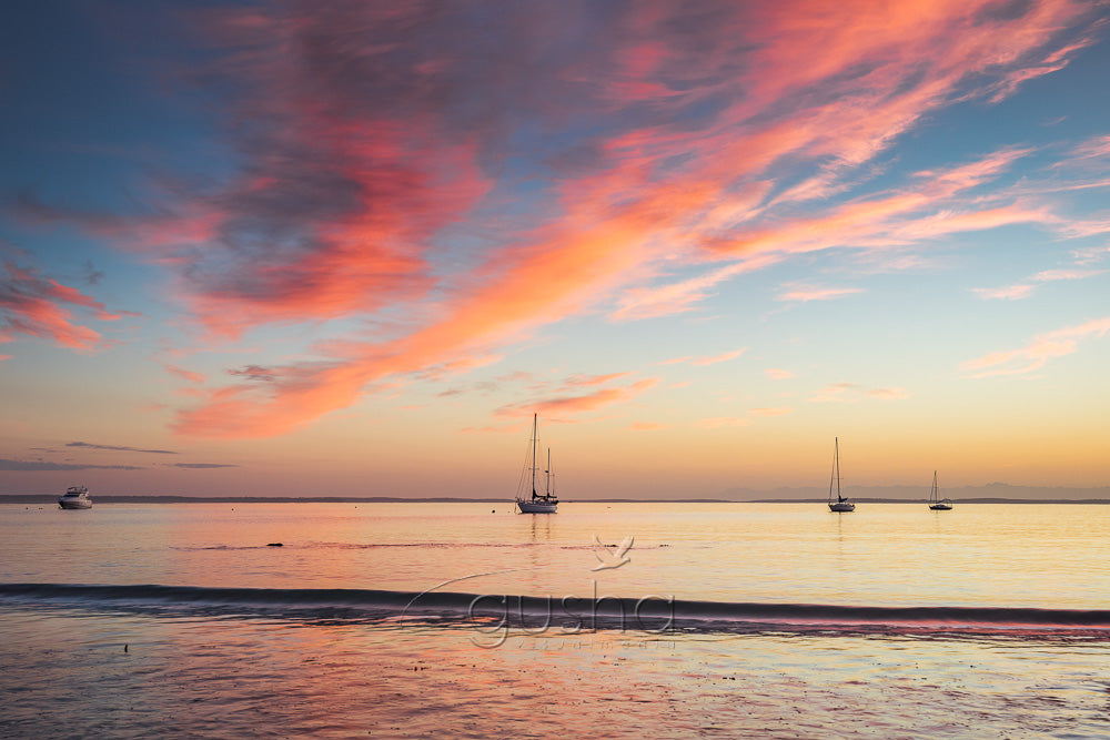 Collingwood Beach photo