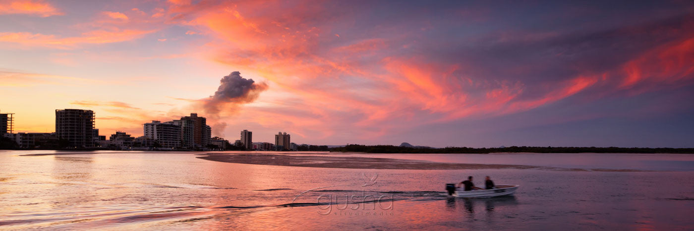 Photo of Cotton Tree MR2538 - Gusha