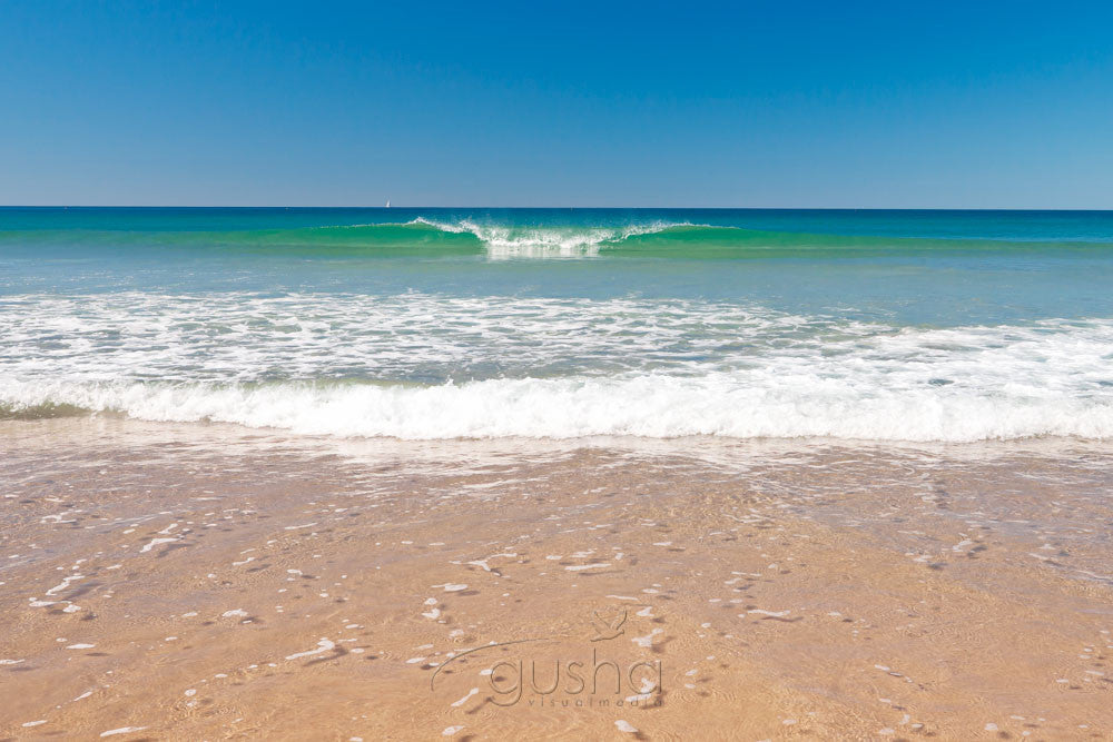 Photo of Maroochydore Beach MR2797 - Gusha