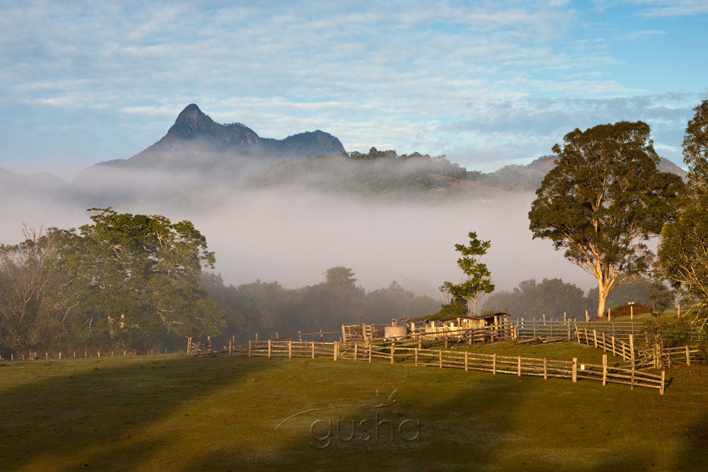 Photo of Mt Warning MU2271 - Gusha