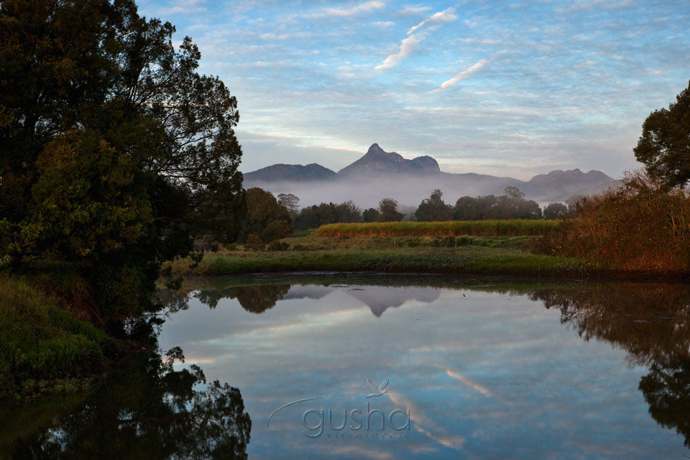 Photo of Mt Warning MU2273 - Gusha