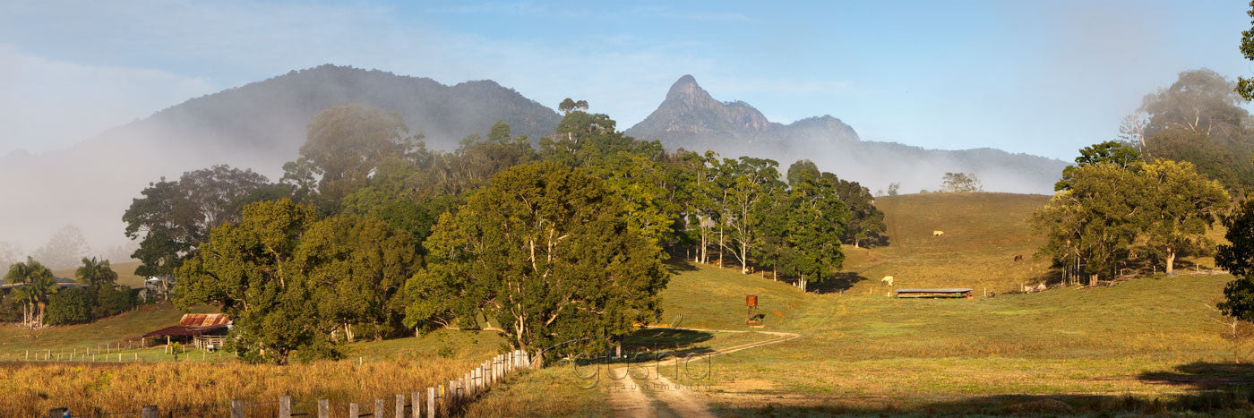 Photo of Mt Warning MU2573 - Gusha