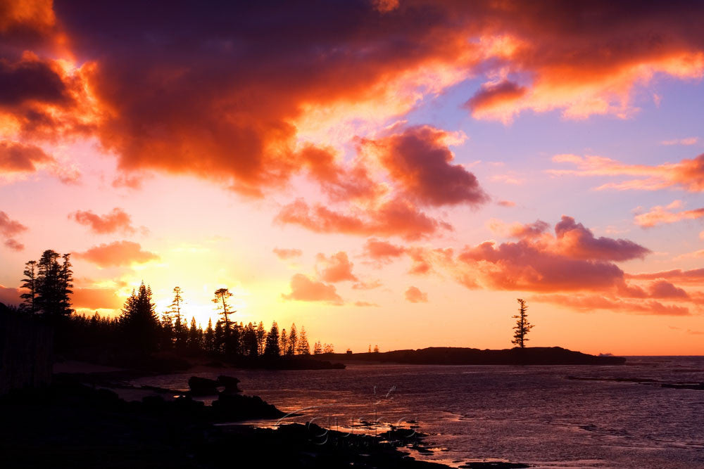 Photo of Kingston Sunrise NF0310 - Gusha