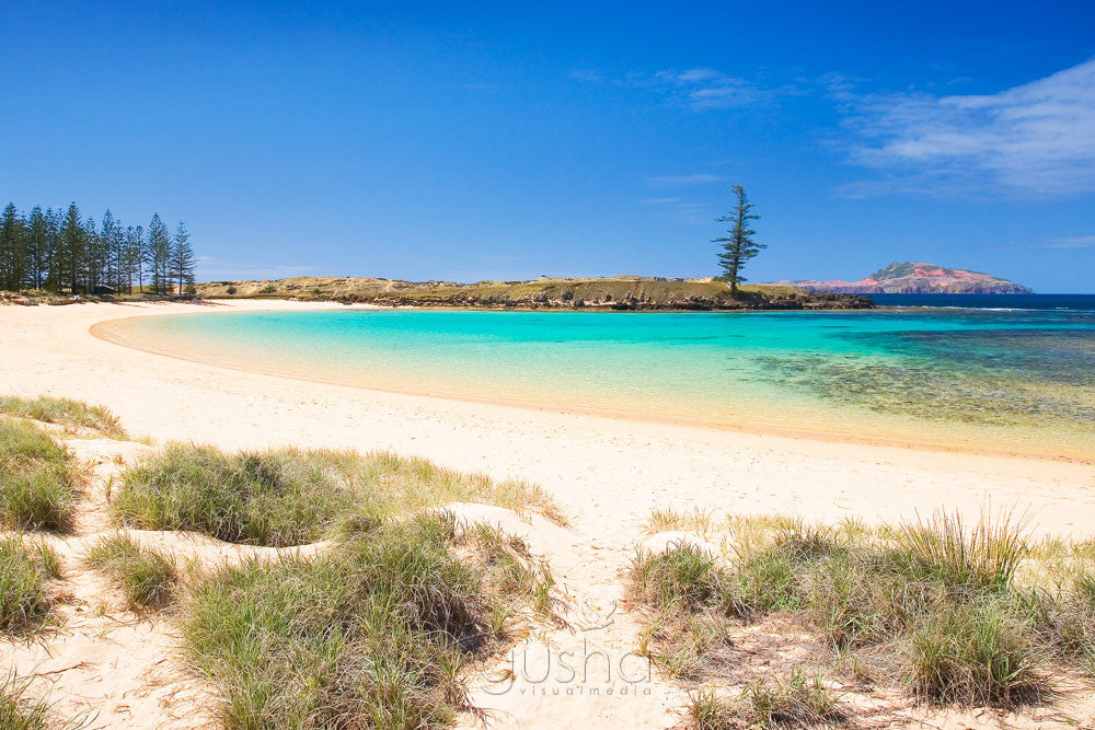 Photo of Emily Bay NF0312 - Gusha