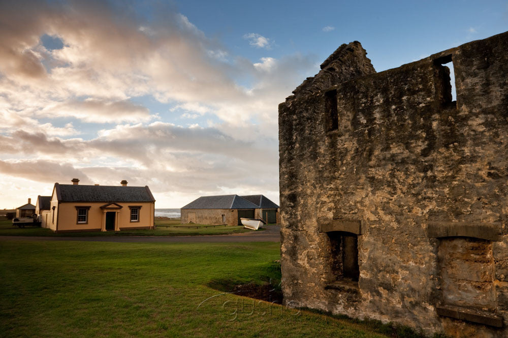 Photo of Kingston NF0865 - Gusha