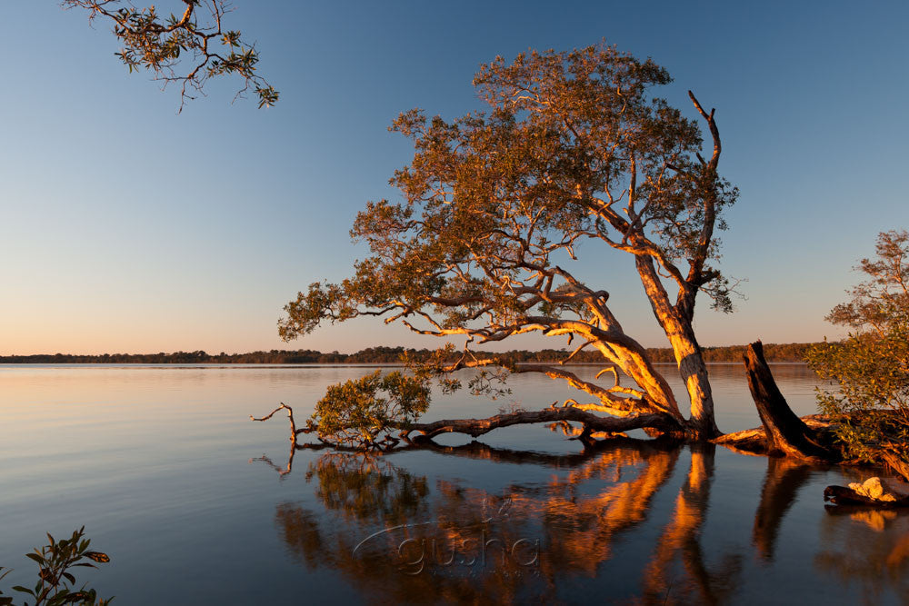 Photo of Lake Weyba NO2123 - Gusha