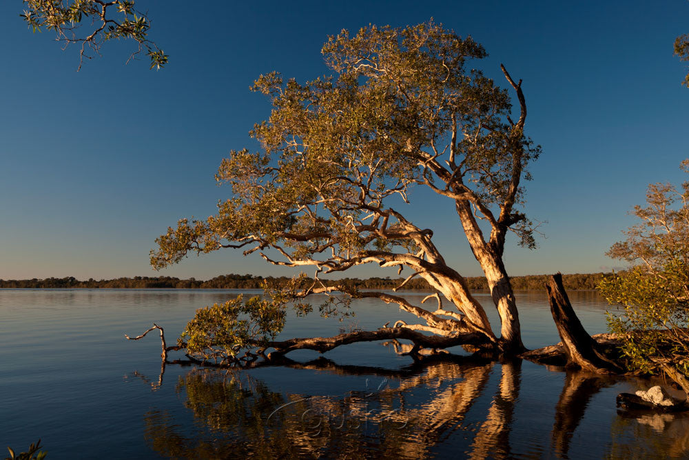 Photo of Lake Weyba NO2124 - Gusha