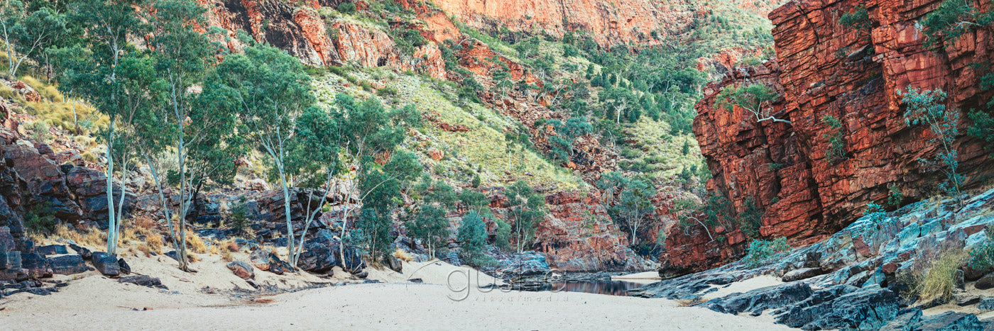 Panoramic photo of Ormiston Gorge