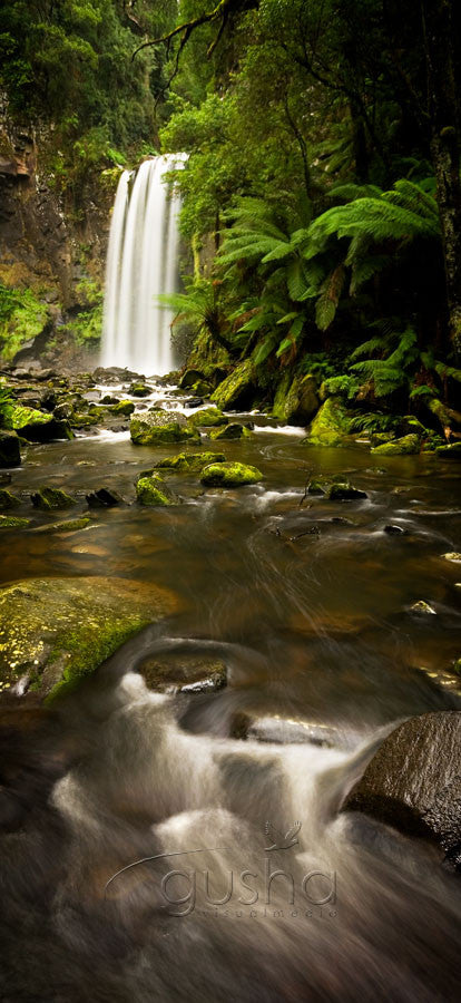 Photo of Otway National Park OT0733 - Gusha