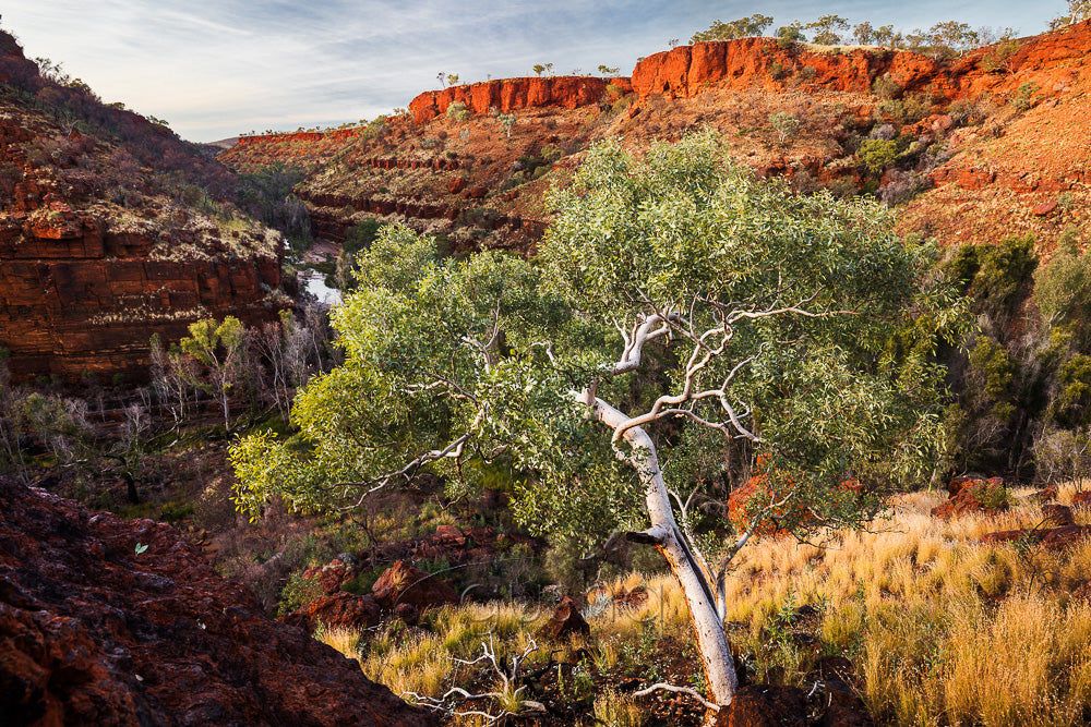 Dales Gorge photo