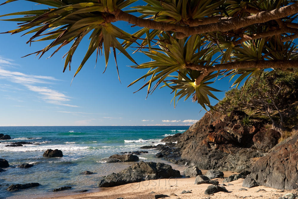 Photo of Pandanus Cove PM1688 - Gusha