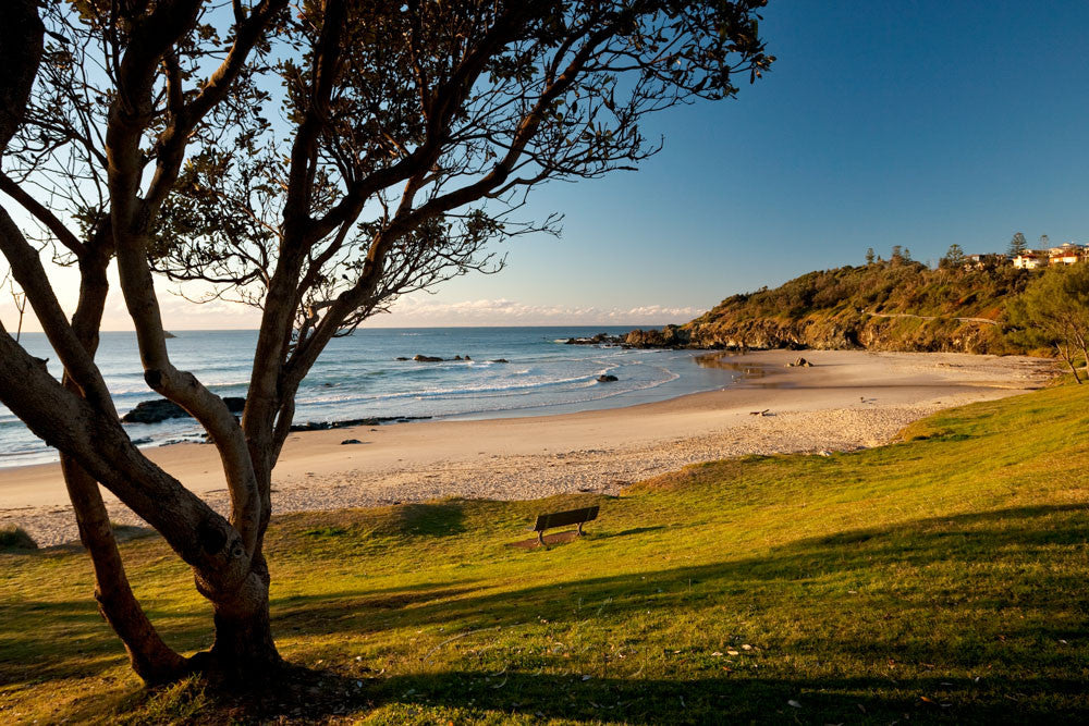 Photo of Oxley Beach PM1692 - Gusha