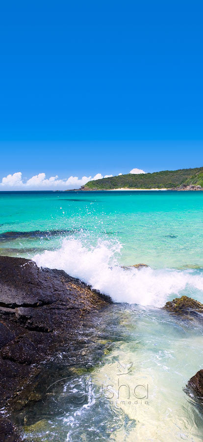 Photo of Elizabeth Beach PP0257 - Gusha