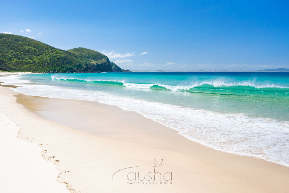 Photo of Elizabeth Beach PP1004 - Gusha