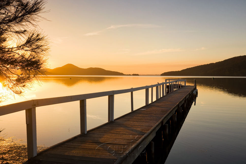 Photo of Wallis Lake PP1006 - Gusha