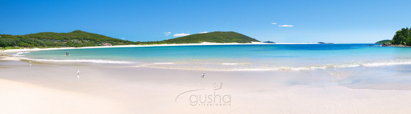 Photo of Fingal Bay PS0107 - Gusha