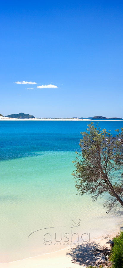 Photo of Fingal Bay PS0114 - Gusha