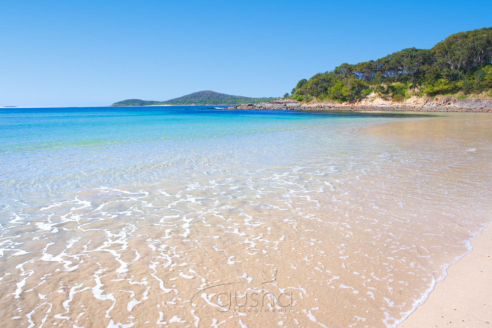 Photo of Fingal Bay PS0191 - Gusha
