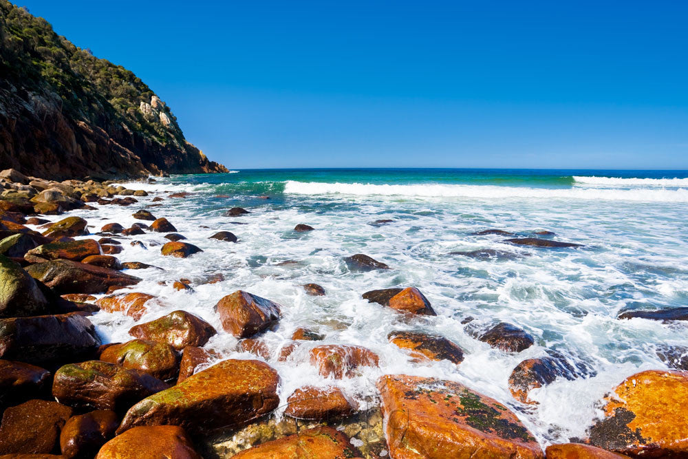 Photo of Zenith Beach PS0815 - Gusha