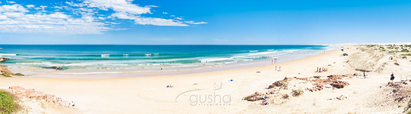 Photo of Stockton Beach PS0816 - Gusha