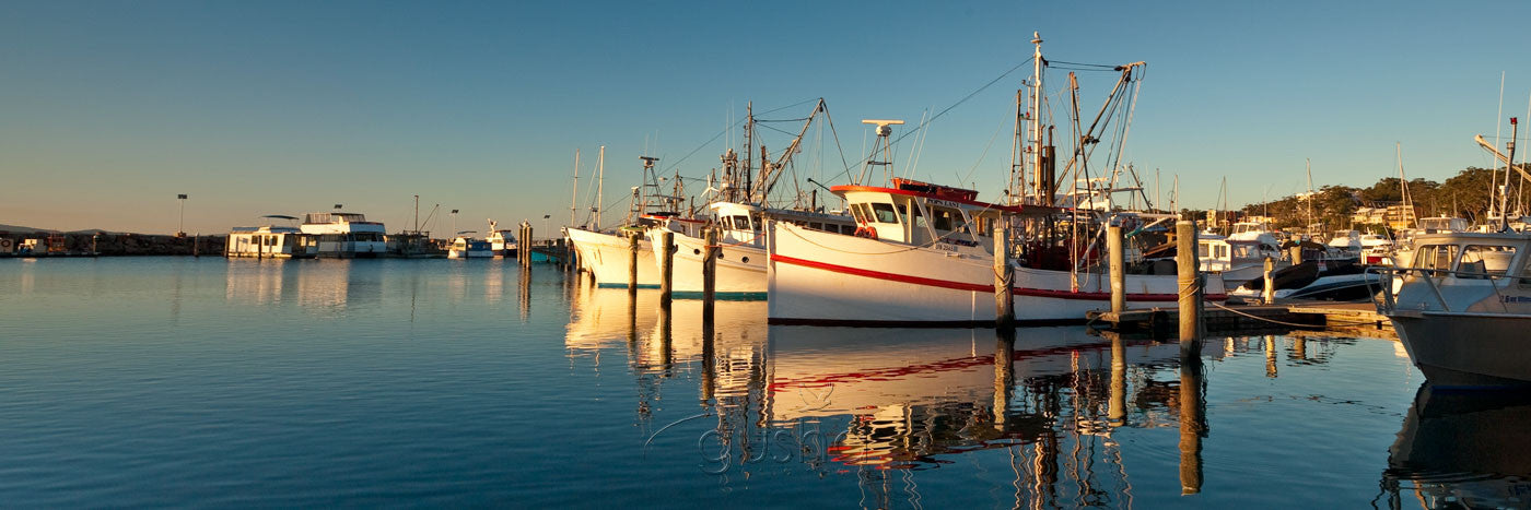 Photo of Nelson Bay PS1514 - Gusha