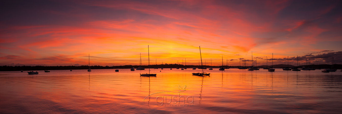 Photo of Salamander Bay PS2959 - Gusha