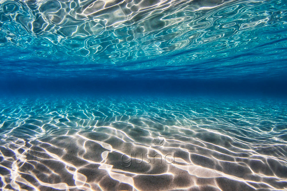 Redhead Beach photo
