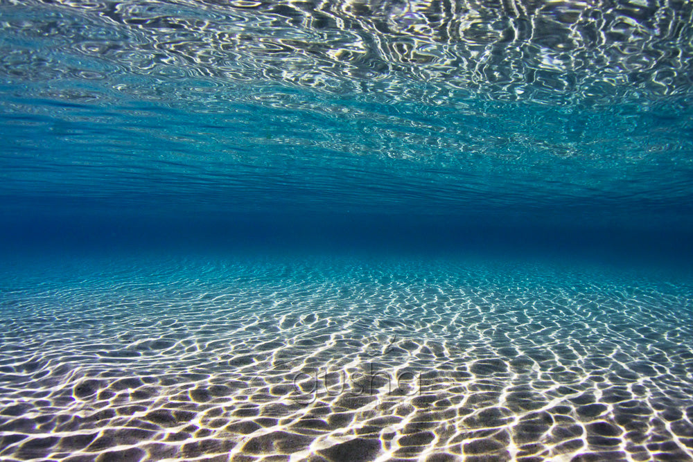 Redhead Beach photo