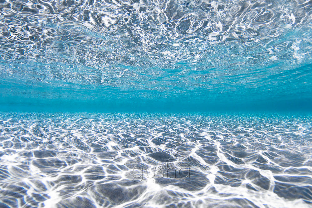 A photo captured underwater of crystal clear aqua water on the coast of Australia.