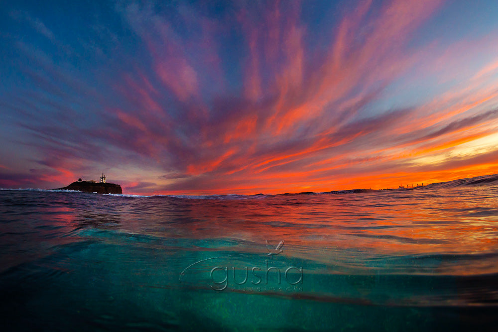 Nobbys Beach sunrise Photo