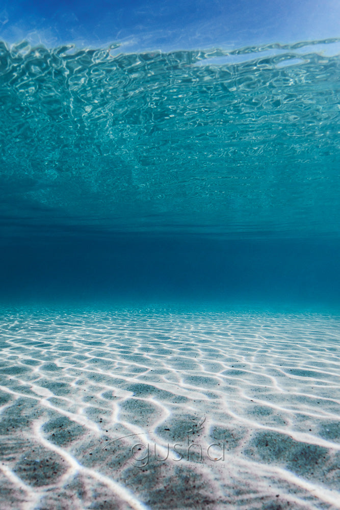 Shallow Swell RC3938