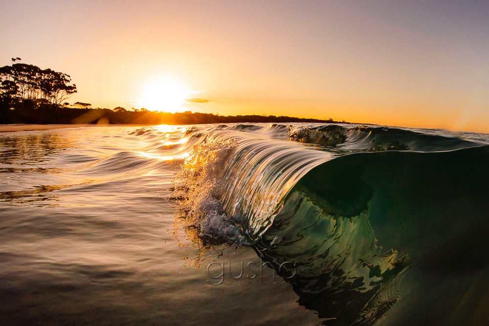 Greenpatch wave Photo