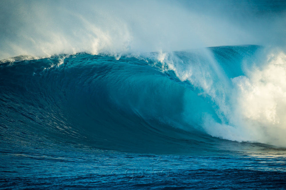 Photo of Perfect 50 Foot Jaws RR0052 - Gusha