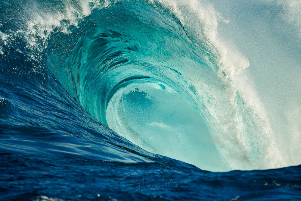 Photo of Jaws RR0059 - Gusha