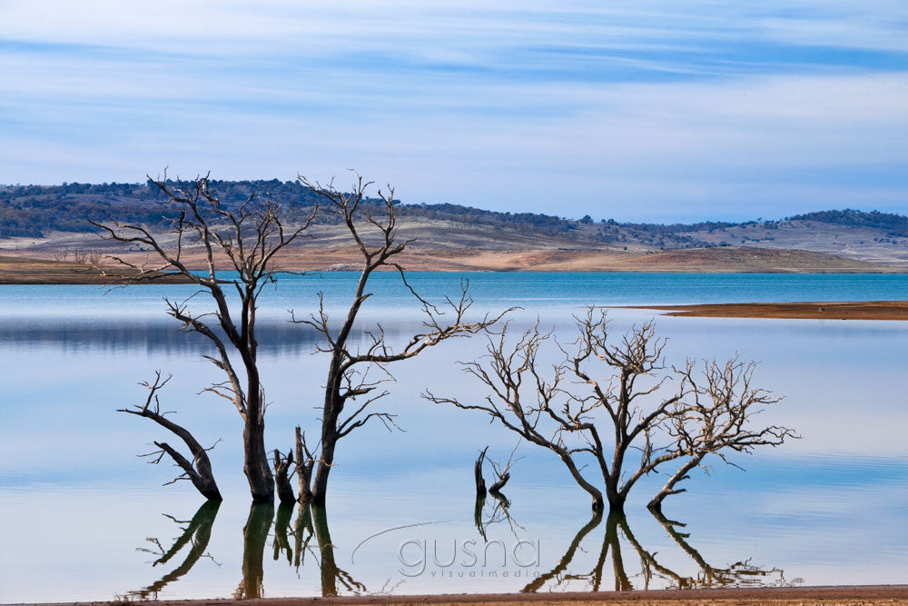 Photo of Snowy Mountains SN2415 - Gusha