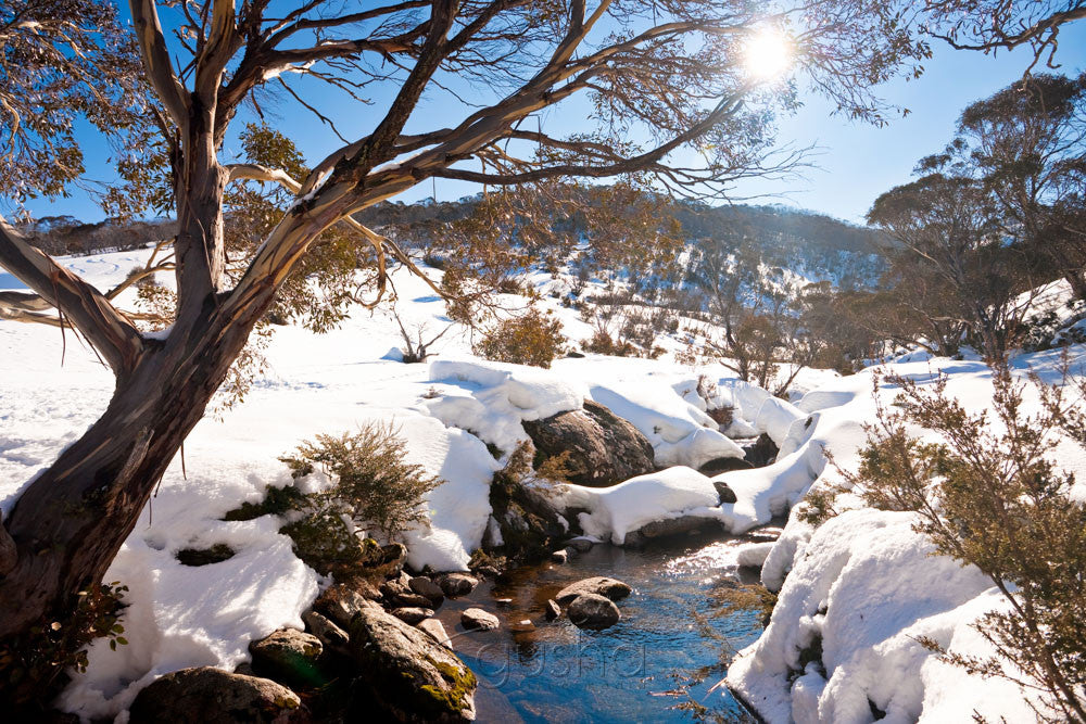 Photo of Thredbo River SN2420 - Gusha