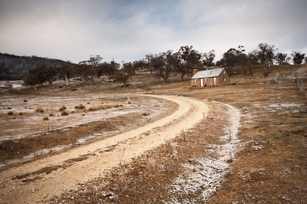 Photo of Thredbo SN2631 - Gusha