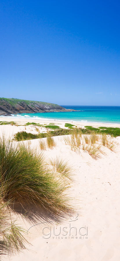 Photo of Treachery Beach SR0259 - Gusha