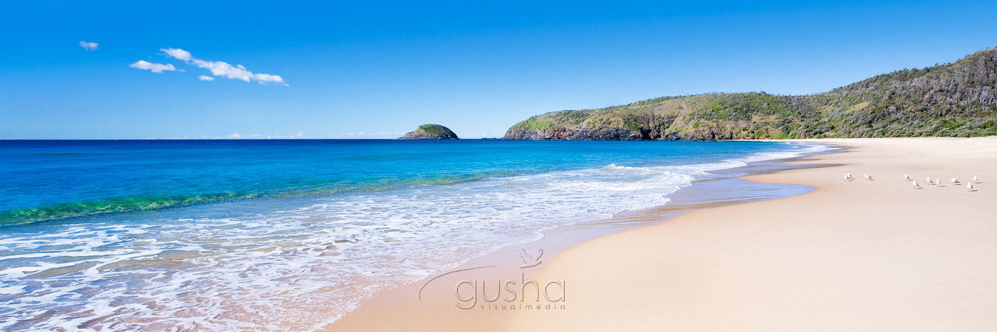 Photo of Gap Beach SWR0176 - Gusha
